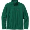 Patagonia Men's Micro D Pullover