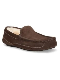 UGG Australia Men's Ascot Slipper -Standrews Links Officials Store 5775 espresso 15c34603 2cc3 4783 8522 ba080b4f120b