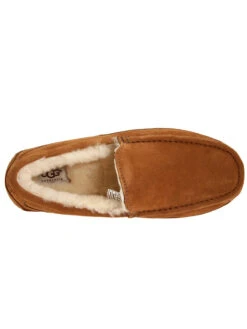 UGG Australia Men's Ascot Slipper -Standrews Links Officials Store 5775 chestnutalt3