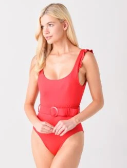Agua Bendita Nicolette Voila One-Piece Swimsuit