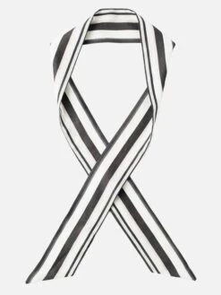 Echo Accessories Rows Mini Scarf