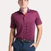 Greyson Men's Saranac Polo
