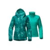 The North Face Women's Clemintine Triclimate Jacket