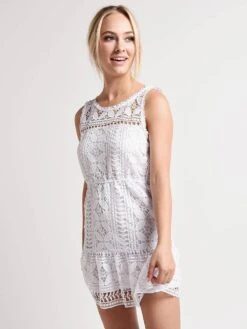 BB Dakota Sandra Dress